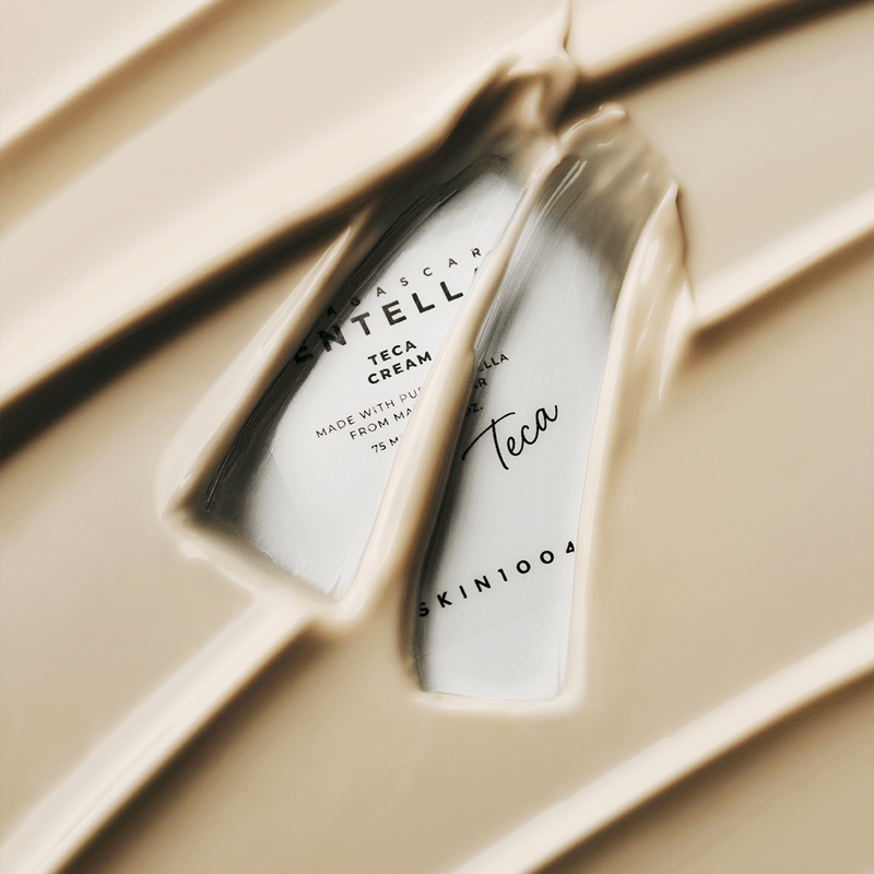 Centella Teca Cream — SKIN1004