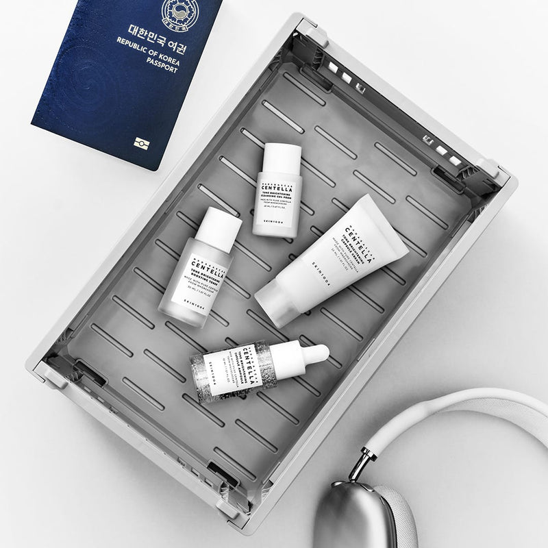 Tone Brightening Travel Kit — SKIN1004